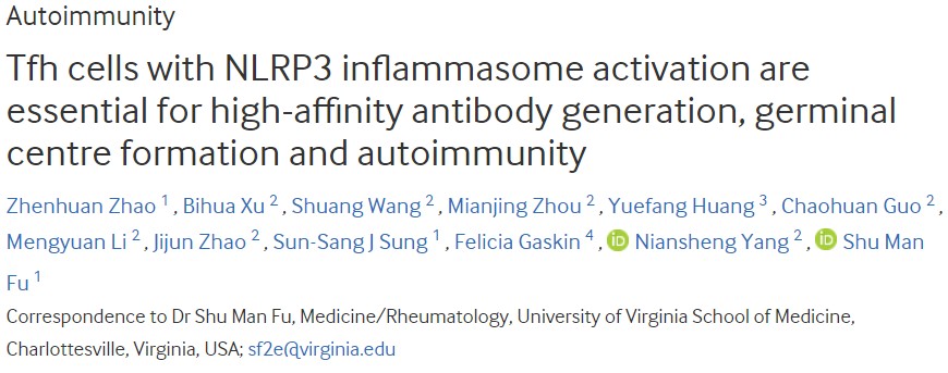 ARD：NLRP3炎性小体激活的<font color="red">Tfh</font>细胞对于高亲和力抗体的产生、生发中心形成和自身免疫至关重要