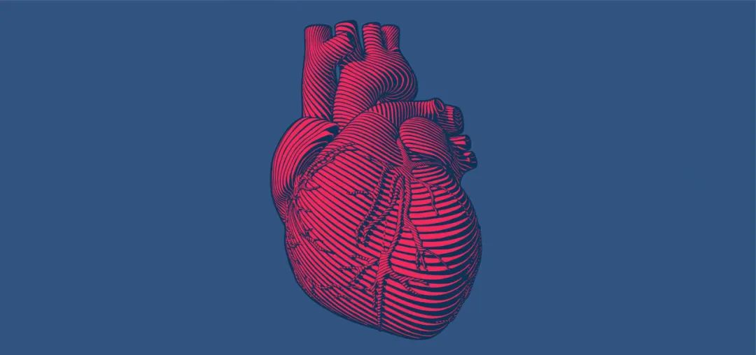 CTM：复旦大学黄国英/马端团队发现先天性心脏病新易感基因
