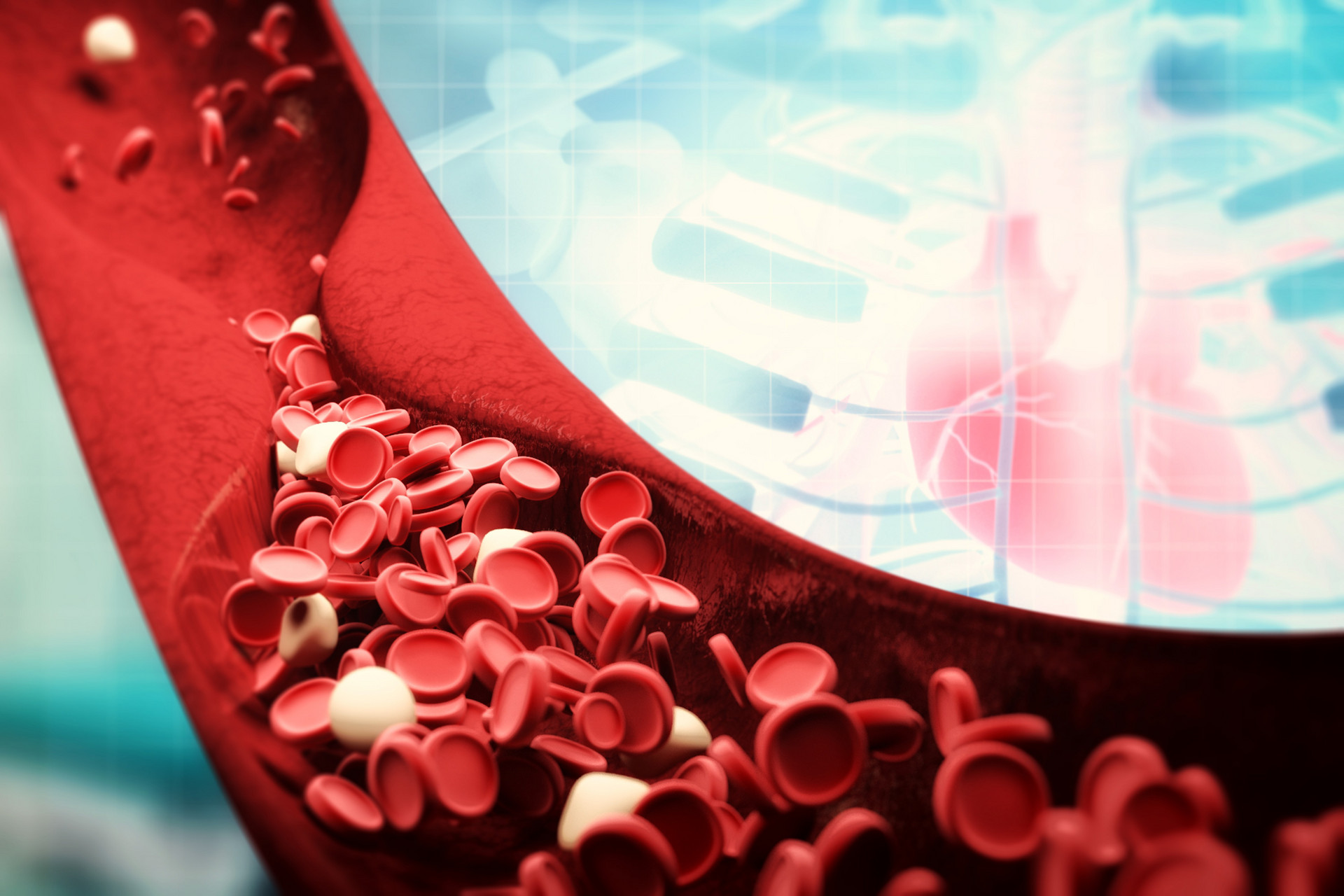 Rheumatology：甲襞<font color="red">视频</font>毛细管镜检查是评估ANCA相关性血管炎的有用工具