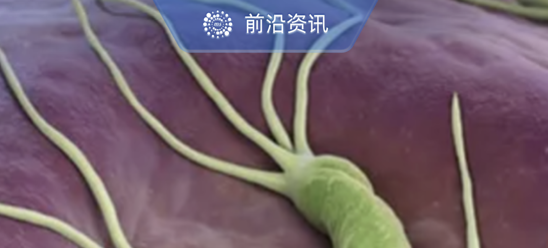 新版中国幽门螺杆菌感染治疗指南都讲了啥，这一篇先睹为快！
