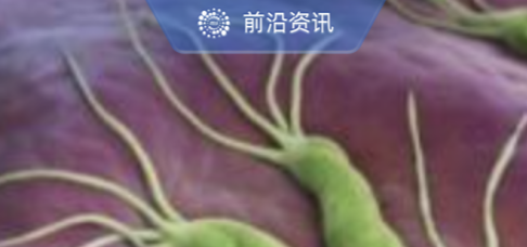 抑酸剂在幽门螺杆菌感染治疗中的应用