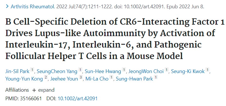 A&R：<font color="red">B</font>细胞特异性缺失CR6相互作用因子1通过激活小鼠模型中的白细胞介素<font color="red">17</font>、白细胞介素 6和致病性滤泡辅助T细胞驱动狼疮样自身免疫