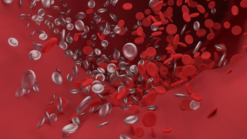 卒中血栓形成的病理生理学机制