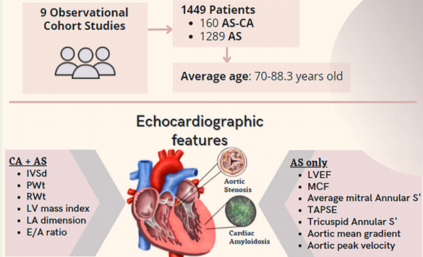 Eur Heart J-Card Img：<font color="red">主动脉</font>狭窄患者检测心脏淀粉样变的超声心动图指标