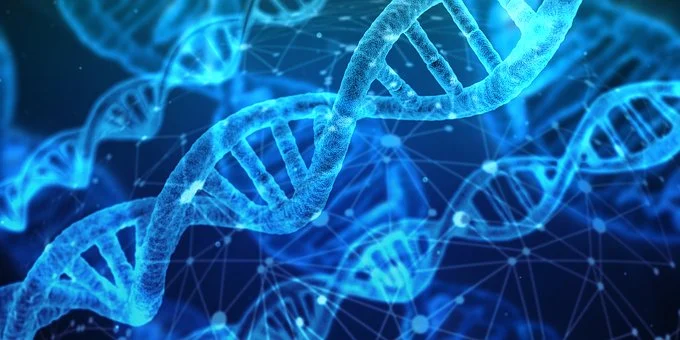 Nature发布15万人全基因组测序研究成果，揭示多个罕见变异的性状关联