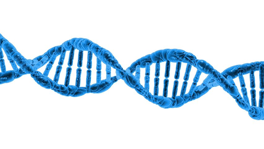 北京基因组所等鉴定出尿路上皮癌中具有预后分层的DNA甲基化亚型