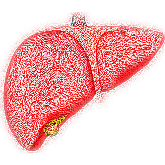 一天八片维生素，竟吃出肝衰竭！SLE患者应该怎么保护肝脏？