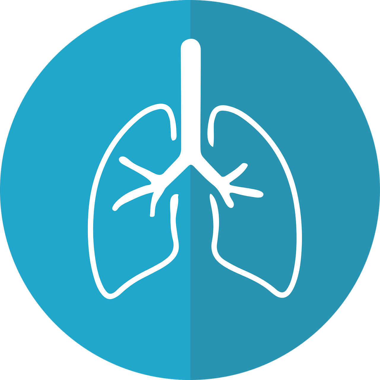 2022 ATS/ERS/JRS/ALAT研究声明：肺纤维化合并肺气肿综合征