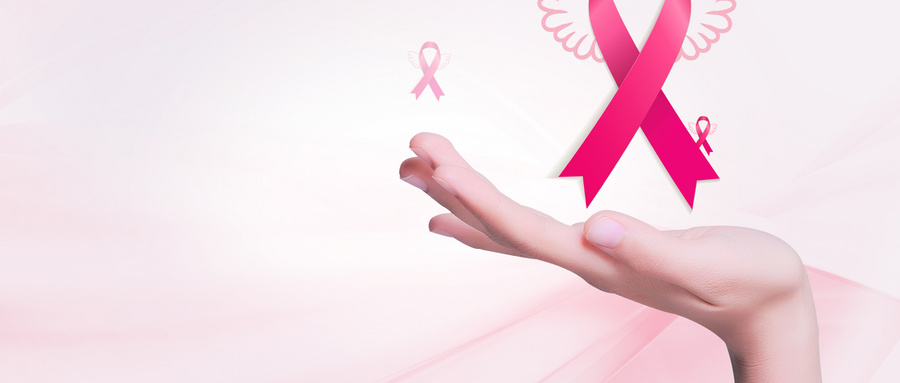 非<font color="red">HER2</font>阳性的乳腺癌患者辅助治疗