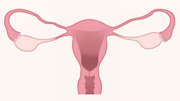 Nature子刊：发现卵巢癌和子宫癌中的基因“致命弱点”