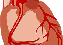 Heart：主<font color="red">动脉</font>重度狭窄患者<font color="red">冠状动脉</font>绝对流量及<font color="red">微血管</font>阻力储备
