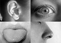 Eur Arch Otorhinolaryngol：血清生物标志物pretin与感音神经性听力损失有何关系？