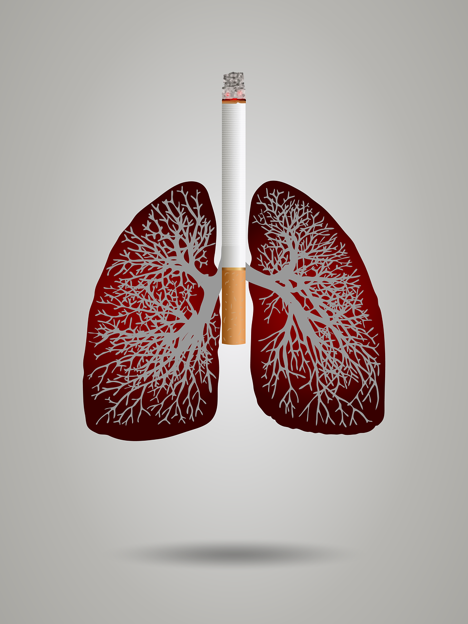 21世纪的肺癌——<font color="red">发病人群</font>和肿瘤特征的20年演变