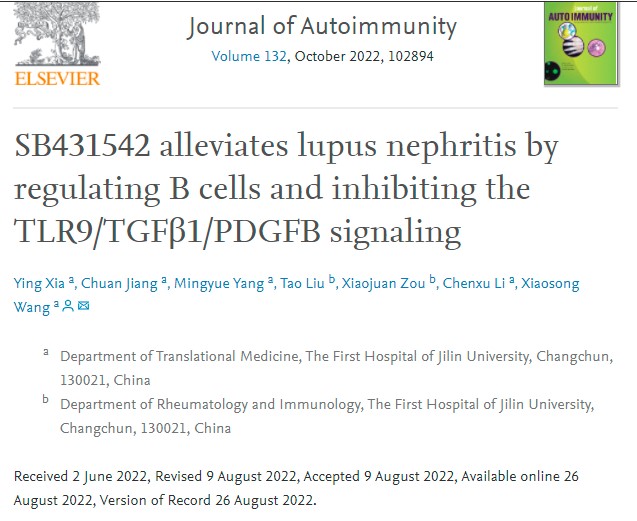 <font color="red">J</font> <font color="red">Autoimmun</font> ：SB431542 通过调节B细胞和抑制TLR9/TGFβ1/PDGFB信号传导来缓解狼疮性肾炎