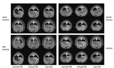 Investigative Radiology：实现CT造影剂的“减价不减量”！