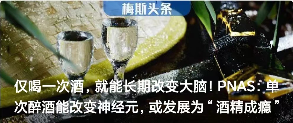 PNAS：单次<font color="red">醉酒</font>能改变神经元，或发展为“酒精成瘾”