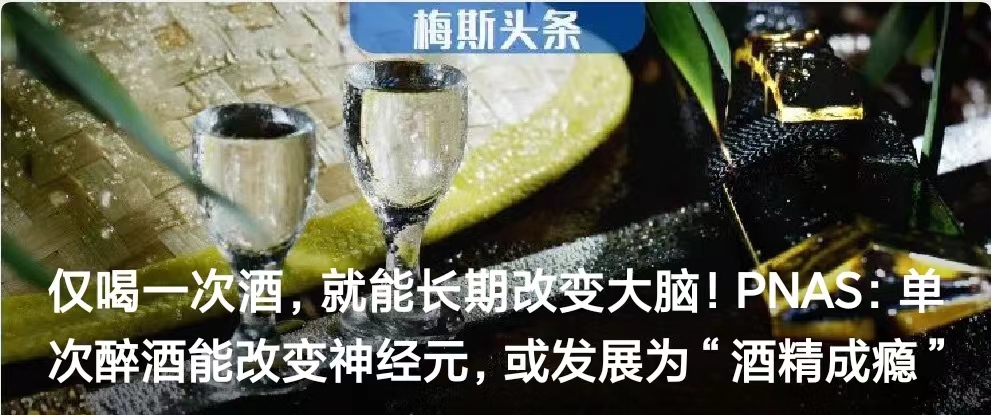 PNAS：单次醉酒<font color="red">能</font>改变<font color="red">神经元</font>，或发展为“酒精成瘾”