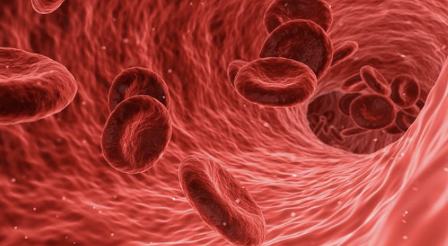 Nat Biotechnol：利用1毫升血液诊断癌症，精确度高达92%