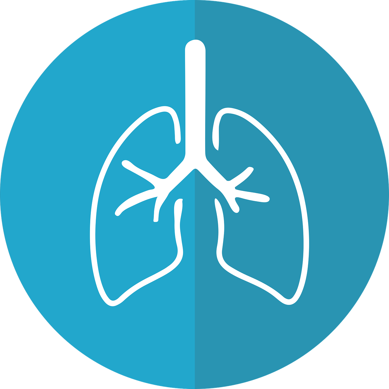 COPD-X 澳大利亞慢性阻塞性肺疾病診斷和管理指南：2022 年更新