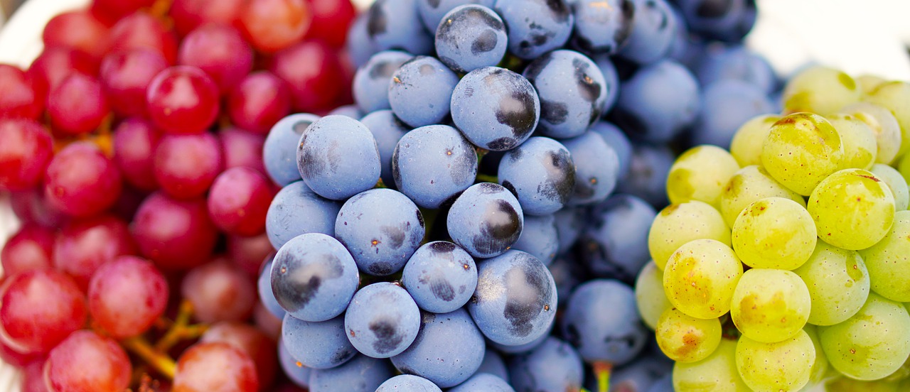 吃葡萄不吐葡萄皮就对啦！全葡萄粉能有效降胆固醇，增加肠道菌群多样性！