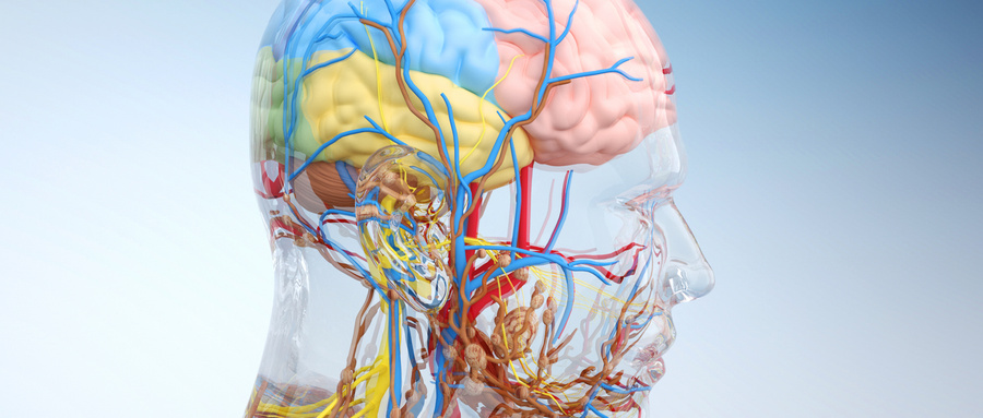 【论著】神经内镜下第三脑室底造瘘术联合脑室-腹腔分流术治疗高血压脑出血术后慢性正常压力脑积水的效果分析