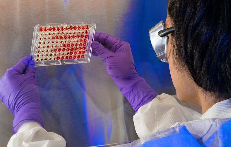 输血相容性检测实验室RhD血型检测策略专家共识