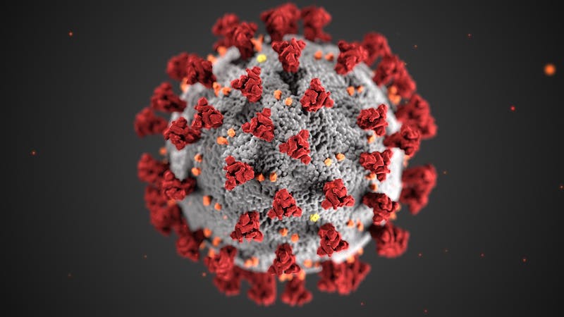 Influenza Other Respir Viruses：肥胖人群对新冠病毒疫苗的抗体反应