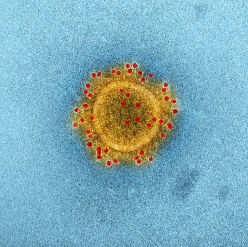 WHO 临时指南：猴痘病毒 (‎MPXV) 诊断测试