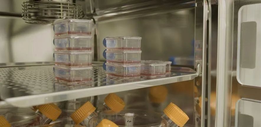 世界首例“人造血液”临床试验，源自2017年Nature子刊论文，或将彻底改变血液疾病的治疗