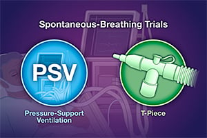NEJM：PSV或T型导管自主呼吸试验对ICU拔管后再插管风险的影响