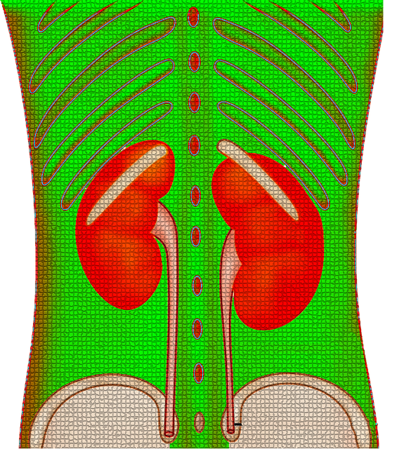 特发性<font color="red">膜</font><font color="red">性</font><font color="red">肾病</font>中医临床实践指南（2021）