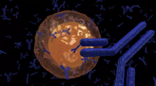 如何搞懂淋巴浆细胞性淋巴瘤？这篇文章是我看到最棒的梳理!