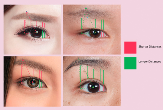 东亚年轻女性<font color="red">吸引力</font>的眼睛测量研究