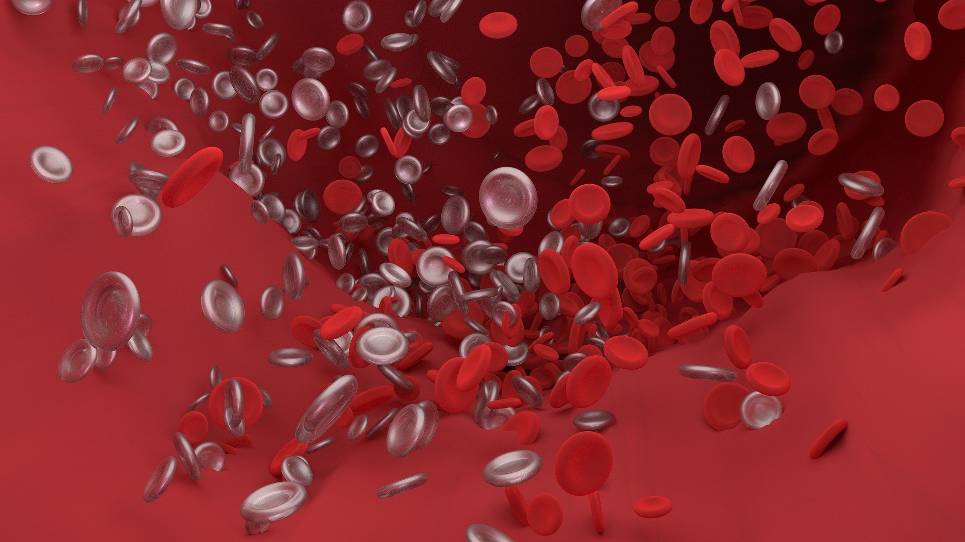 2022 BSH指南：华氏巨<font color="red">球蛋白</font>血症的诊断和管理