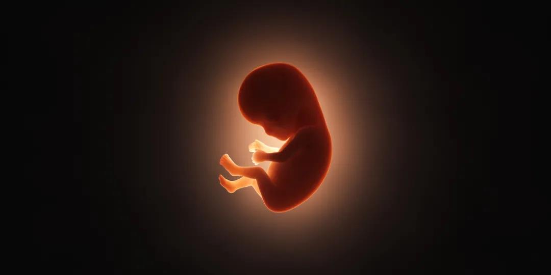 Nature Communications：胎盘能够保护胎儿不受来自母体的新冠病毒感染