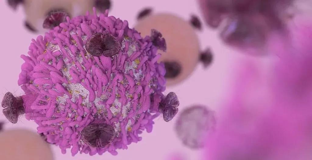 基因工程NK细胞疗法获FDA快速通道资格，联合单抗治疗晚期胃癌