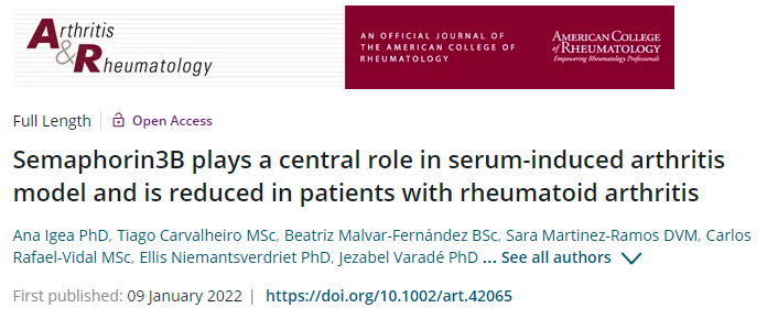 A&R: Semaphorin3B 在血清诱导的关节炎模型中起核心作用，在类风湿性关节炎患者中降低
