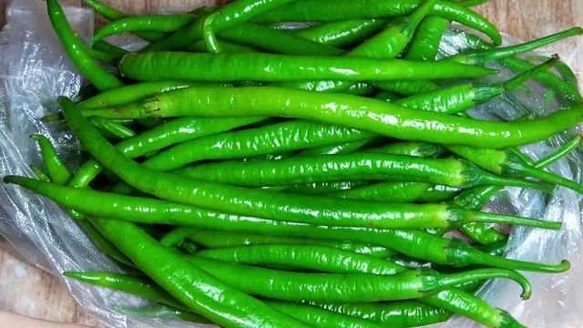 Nutrition Research：再添新作用！研究发现青椒中的芹菜素苷可减轻氧化应激并延长寿命