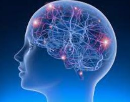 Neurology：老年癫痫、血管危险因素和认知能力下降的关系