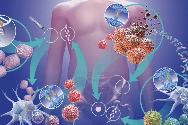 Exscientia在ESMO免疫肿瘤学年度大会上展示针对EXS-21546的新型免疫肿瘤学生物标志物
