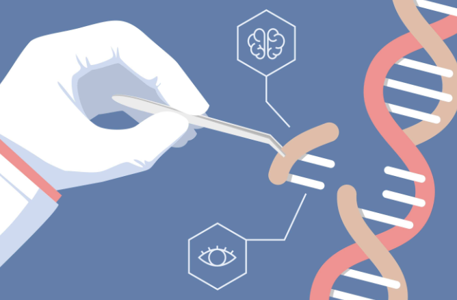 冠科<font color="red">生物</font>宣布与ERS Genomics签订基因编辑专利CRISPR/Cas9的全球性许可协议