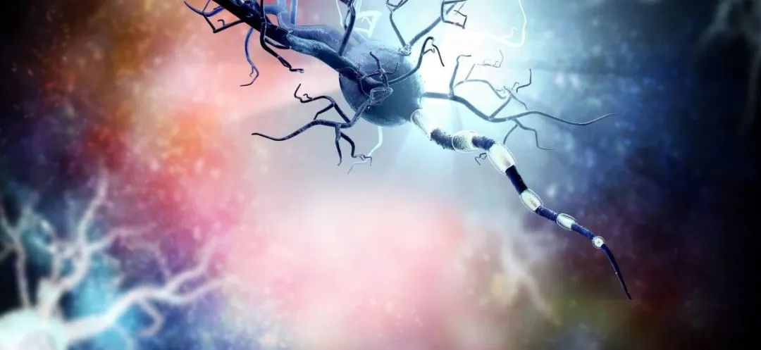 Nature Neuroscience：段文贞团队等使用CRISPR-Cas13d靶向RNA，治疗亨廷顿舞蹈症