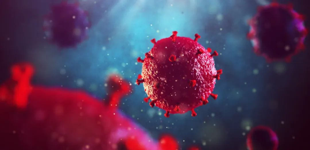 Science Immunology：南医大王曦等揭示表观遗传修饰可提高对病原体感染的防御能力