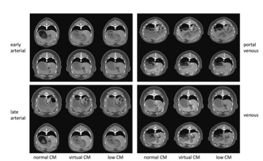 Investigative Radiology：使用生成对抗网络进行深度学习实现CT造影剂的减少 