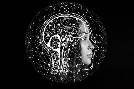 Sci Adv：宋艳团队研究发现经颅近红外激光刺激可提升人类工作记忆