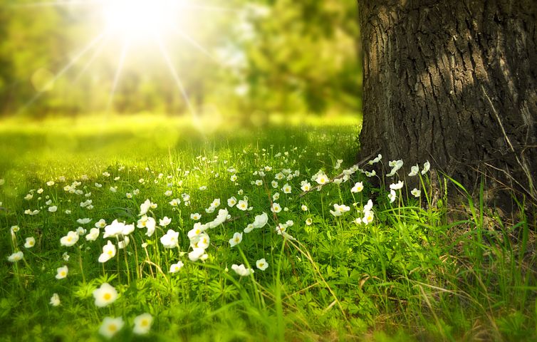 Nature重磅發(fā)表！武漢大學(xué)在蝙蝠MERS相關(guān)冠狀病毒受體研究方面的新成果