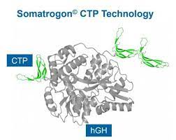 针对生长激素<font color="red">缺乏症</font>（GHD），FDA为Somatrogon发出了完整的回复信（CRL）