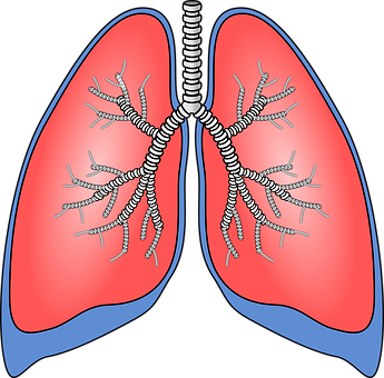 胸部X光特征有助于筛查纤维化纵隔炎引起的肺动脉高压