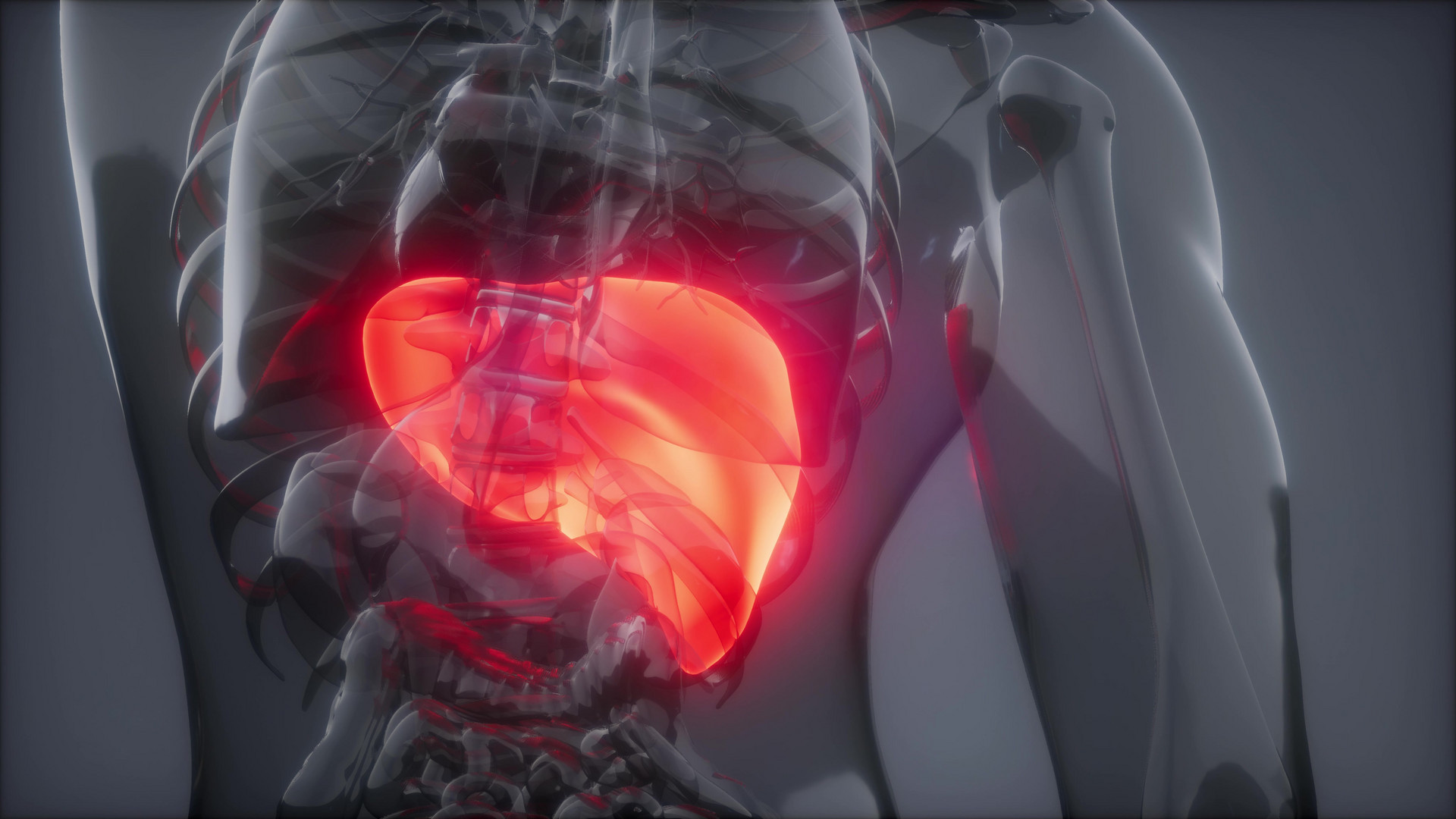 European Radiology：MRE 肝脏硬度是否受肝<font color="red">脂肪</font>变性的影响？