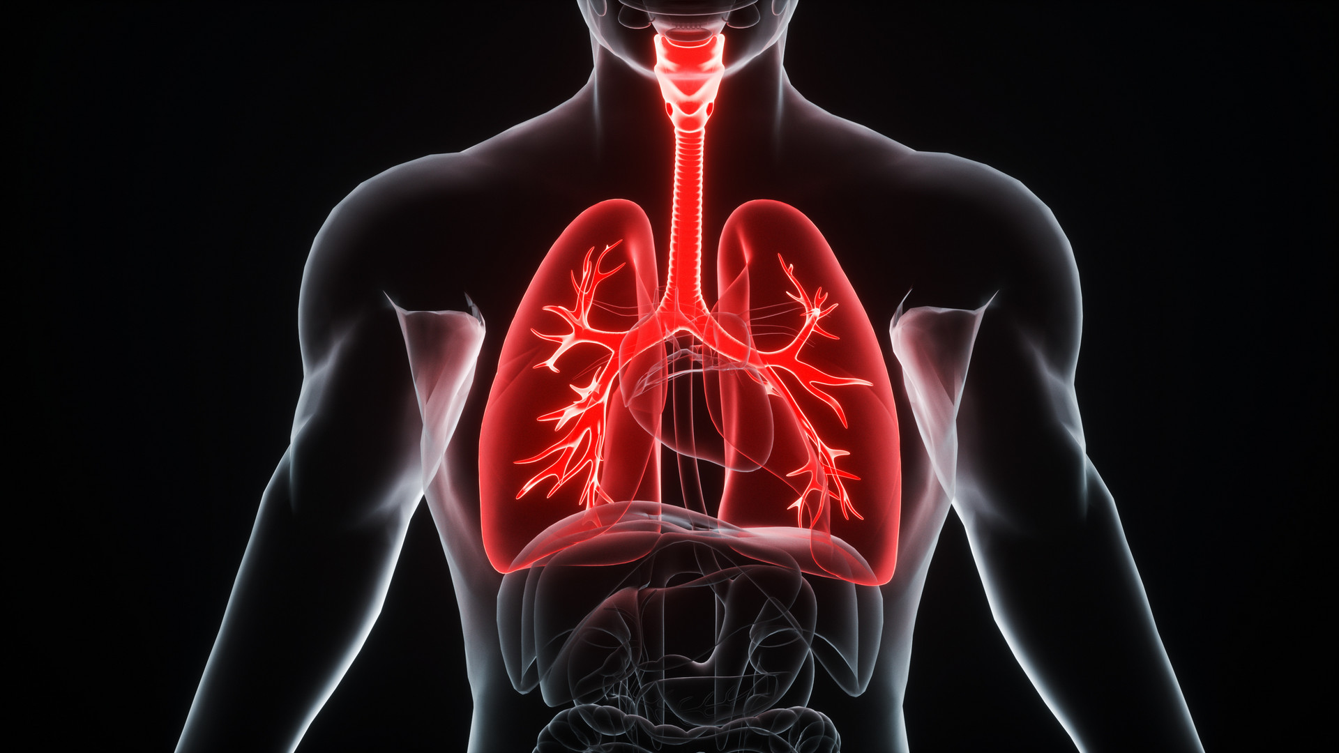 ARD：肺分子特征的综合分析揭示了系统性硬化症相关间质性肺病的关键驱动因素